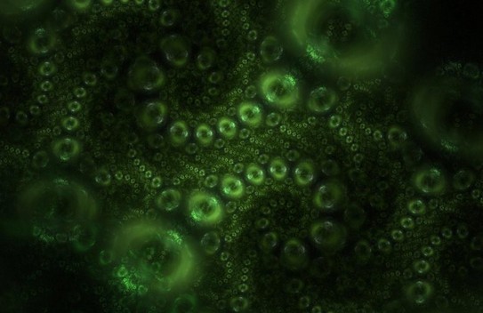 Astrobiologische Studie sagt außerirdisches Leben voraus, wie wir es nicht kennen