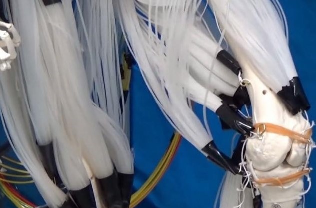 Développement de nouveaux muscles artificiels améliorés