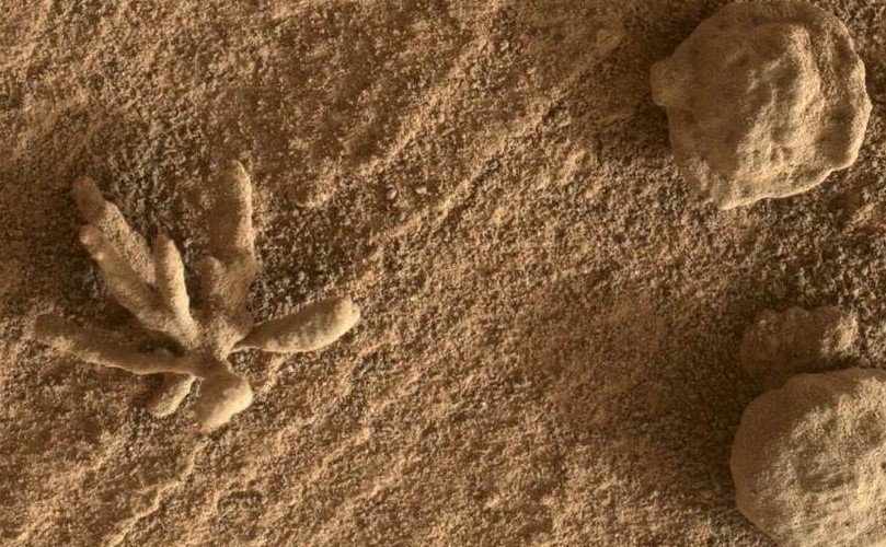 火星での 3D プリントに適したエイリアンの土壌