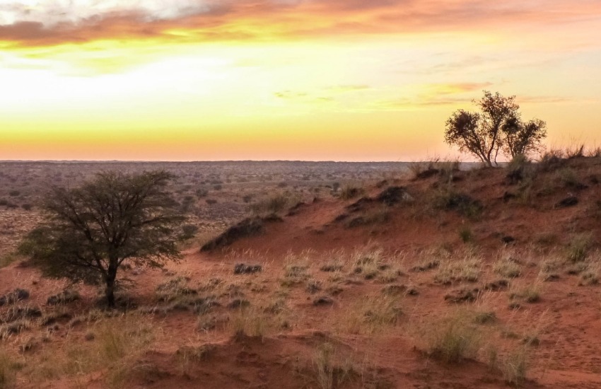 Gli antichi vivevano nel deserto del Kalahari oltre 20.000 anni fa