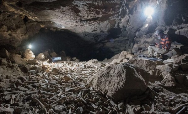 Os arqueólogos encontraram uma caverna onde hienas arrastaram suas presas por séculos