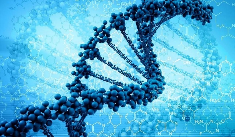 Wissenschaftler haben das menschliche Genom vollständig entschlüsselt