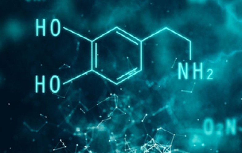 China hat ein künstliches Neuron geschaffen, das die chemischen Signale des Gehirns lesen kann