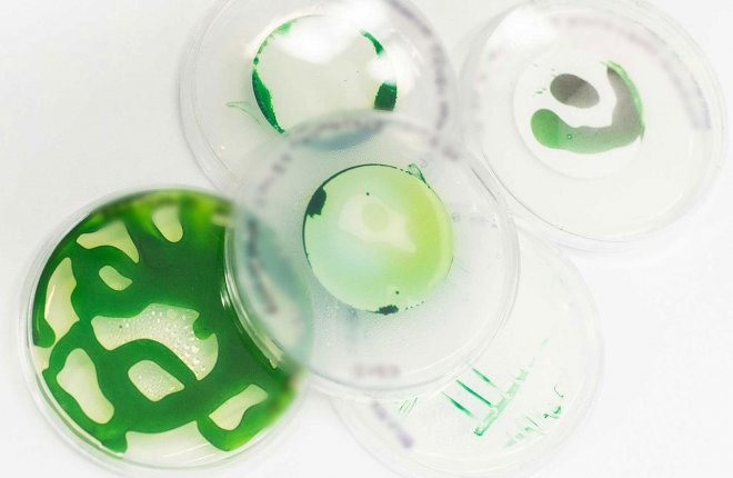 기름을 먹는 박테리아는 세계에서 가장 저렴한 수소를 제공합니다