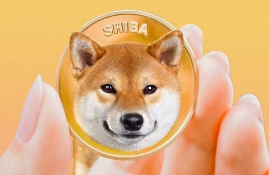 A taxa de criptomoeda Shiba Inu caiu após o tweet de Elon Musk