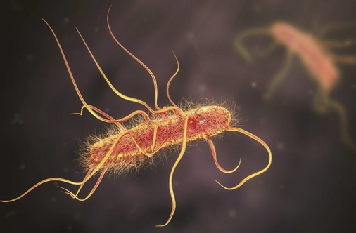 Creato batteri per produrre un farmaco nell'intestino per il morbo di Parkinson