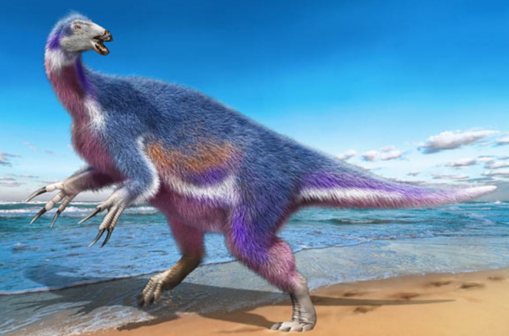 Paralitherizinosaurus japonicus, uma nova espécie de dinossauro do Japão