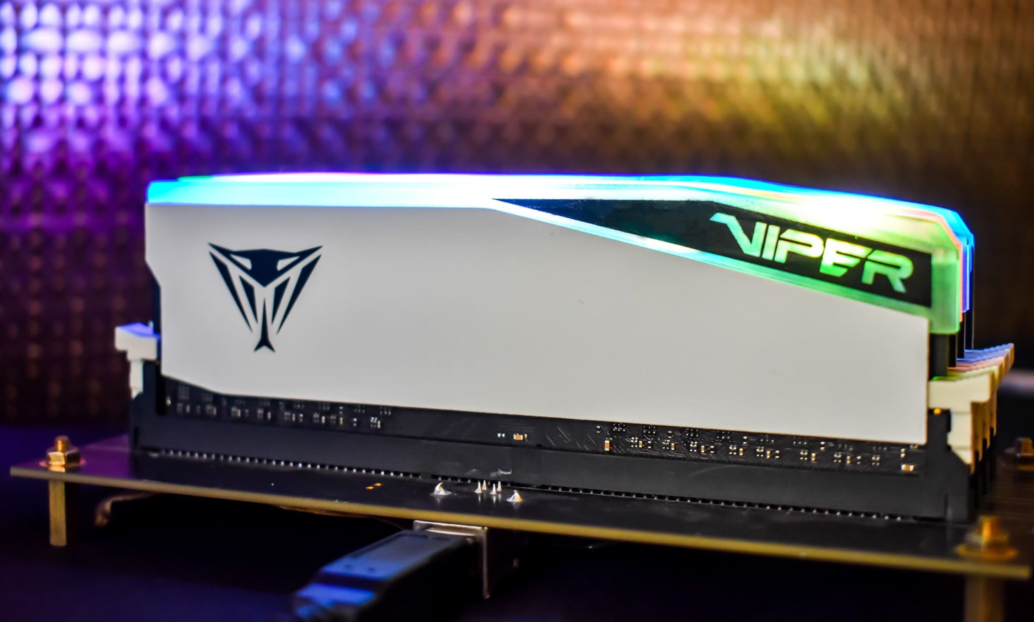 Patriot stellte DDR5-Viper-Module mit einer Frequenz von bis zu 8000 MHz vor