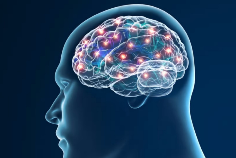 Le persone anziane hanno superneuroni che migliorano la memoria