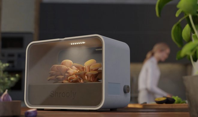 Shrooly Automatic System lässt Sie essbare Pilze zu Hause züchten