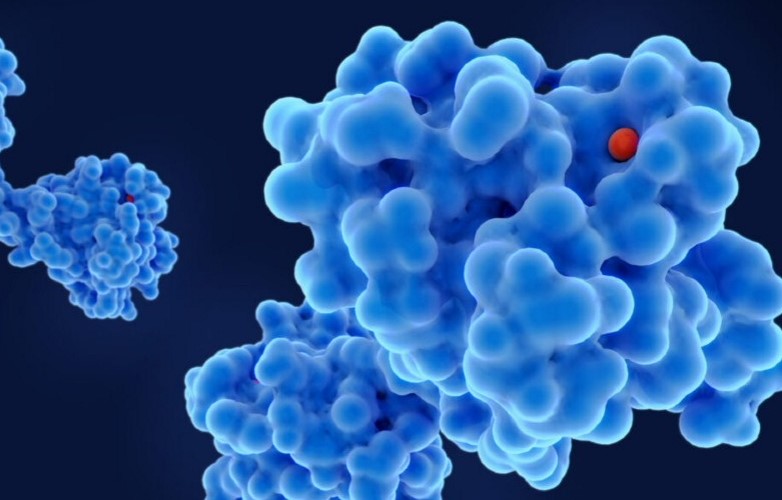 Neue KI entwirft beliebige Proteinmoleküle in Sekundenschnelle