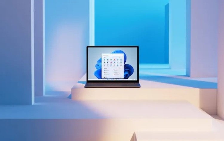Windows 11 est devenu deux fois plus populaire que Windows 7