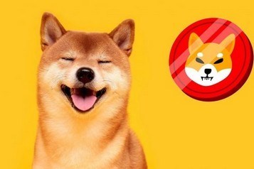 Shiba Inu lança beta DAO para dar aos usuários mais poder sobre projetos criptográficos