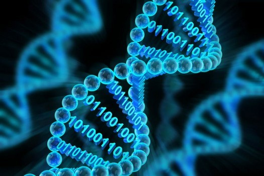 Os cientistas dobraram a densidade de gravação de dados no DNA - mais de 400 mil terabytes em um grama