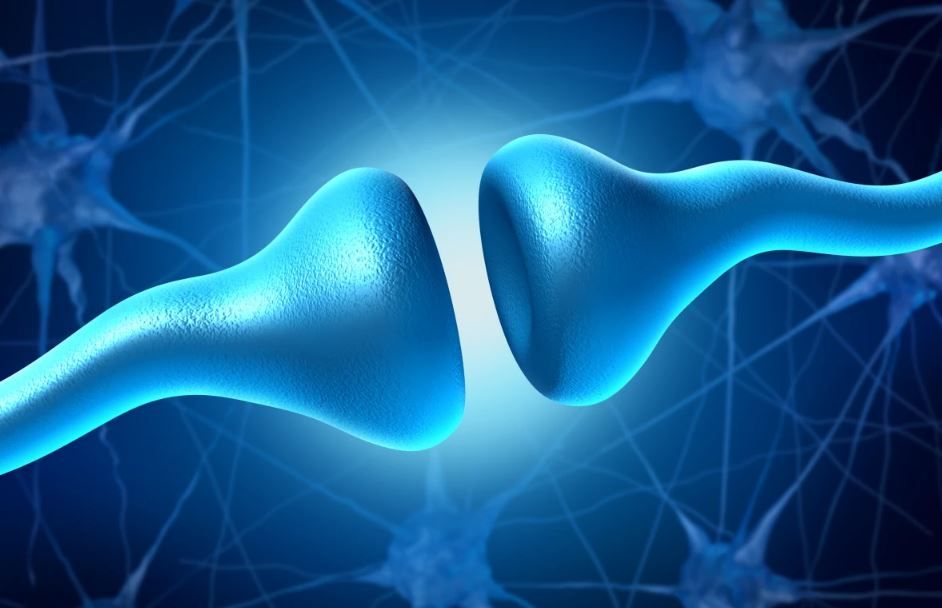 無関心はアルツハイマー病の最初の症状かもしれません