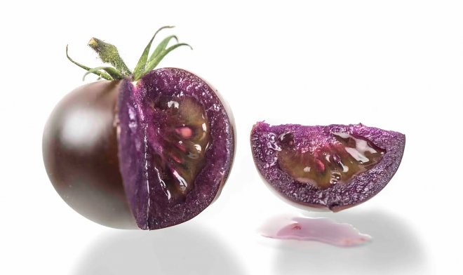 Gli Stati Uniti approvano i pomodori viola OGM antiossidanti