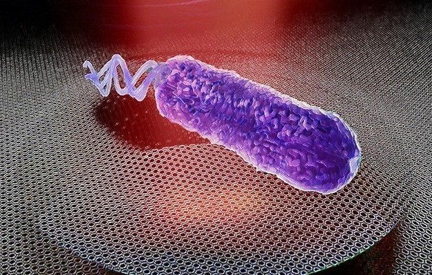 Les sons des bactéries ont été détectés à l'aide d'une membrane de graphène