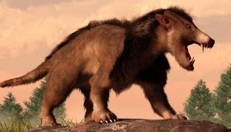 Prähistorische Säugetiere wurden größer, um nach den Dinosauriern zu überleben