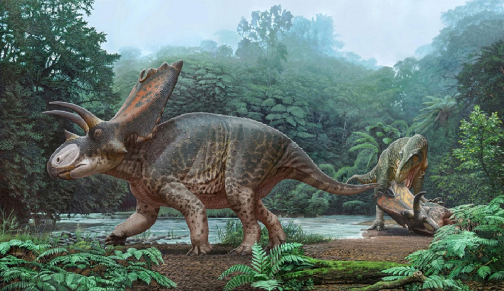 発見された角のある恐竜の新種 - Bistereratops froeseorum