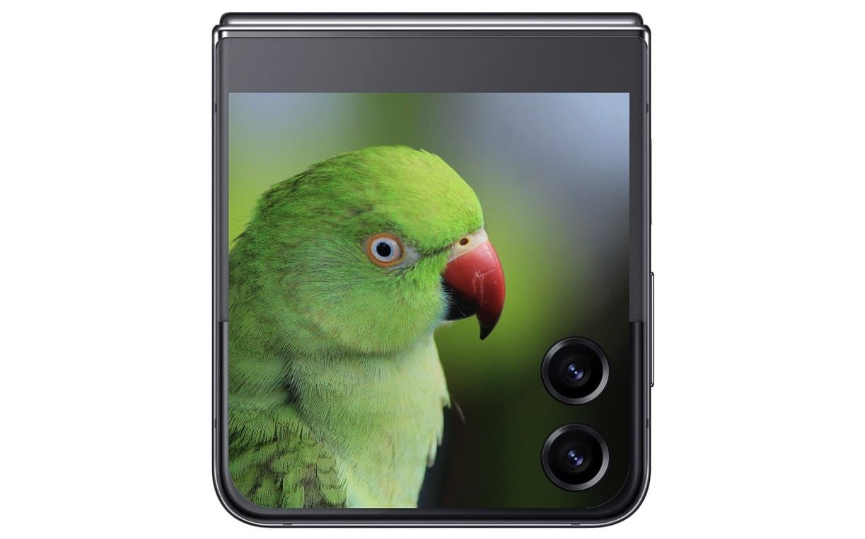 サムスン「Galaxy Z Flip5」、フロントパネルに新デザインを採用した写真が公開される
