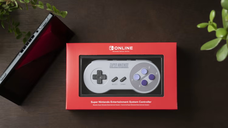 Steam ora supporta ufficialmente i controller di Nintendo Switch Online