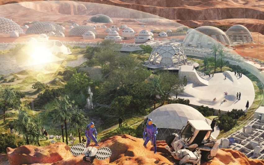 알팔파는 화성에서 자라는 최초의 식물입니다.