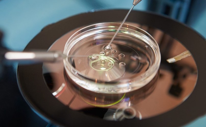 La startup Dioseve consentirà alle donne sterili di avere figli propri