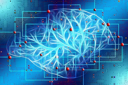 Os cientistas descobriram como aumentar a eficiência da IA ​​- precisamos de redes neurais com neurônios diferentes e não artificiais