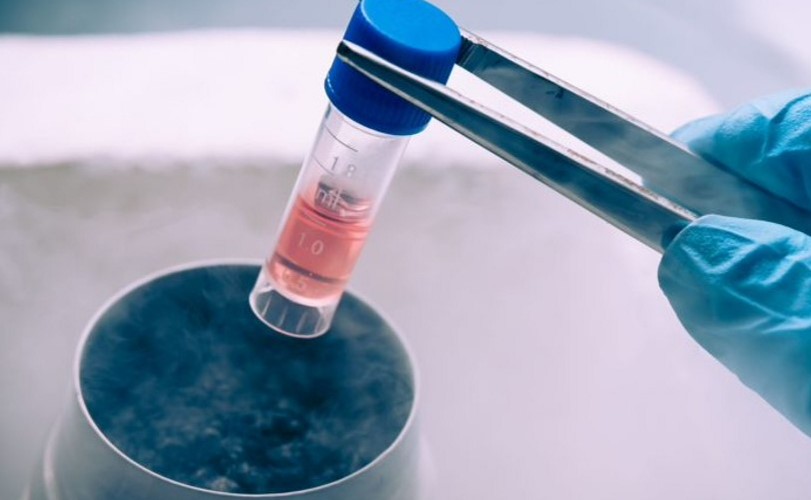 냉동 배아에서 태어난 아기는 암에 걸릴 위험이 증가합니다