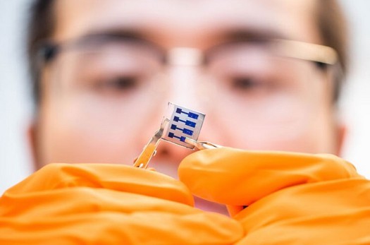 Gli scienziati hanno scoperto come produrre pannelli solari ecologici da materiali organici