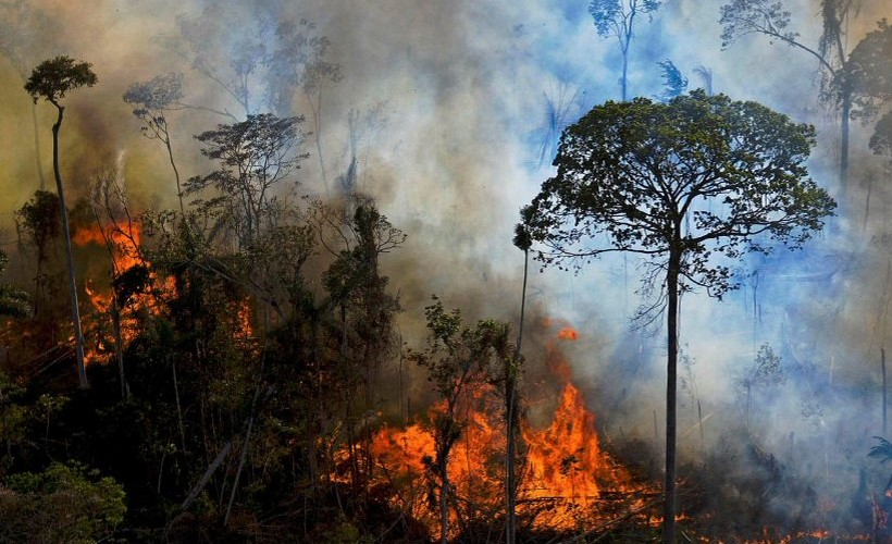 60 年間で、森林面積は 60% 減少しました