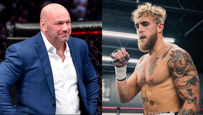 Il presidente dell'UFC ha lanciato una sfida al blogger Jake Paul