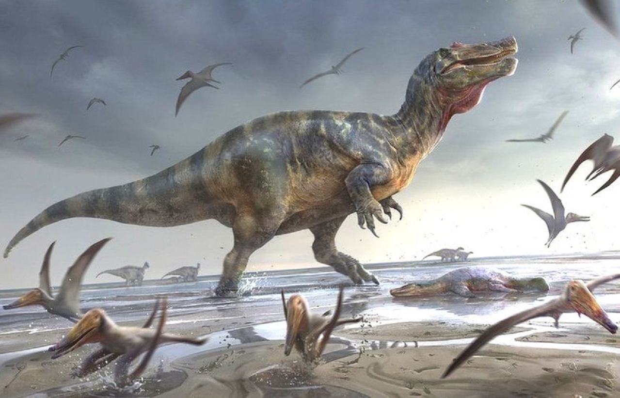 Fóssil de dinossauro até então desconhecido encontrado no Egito