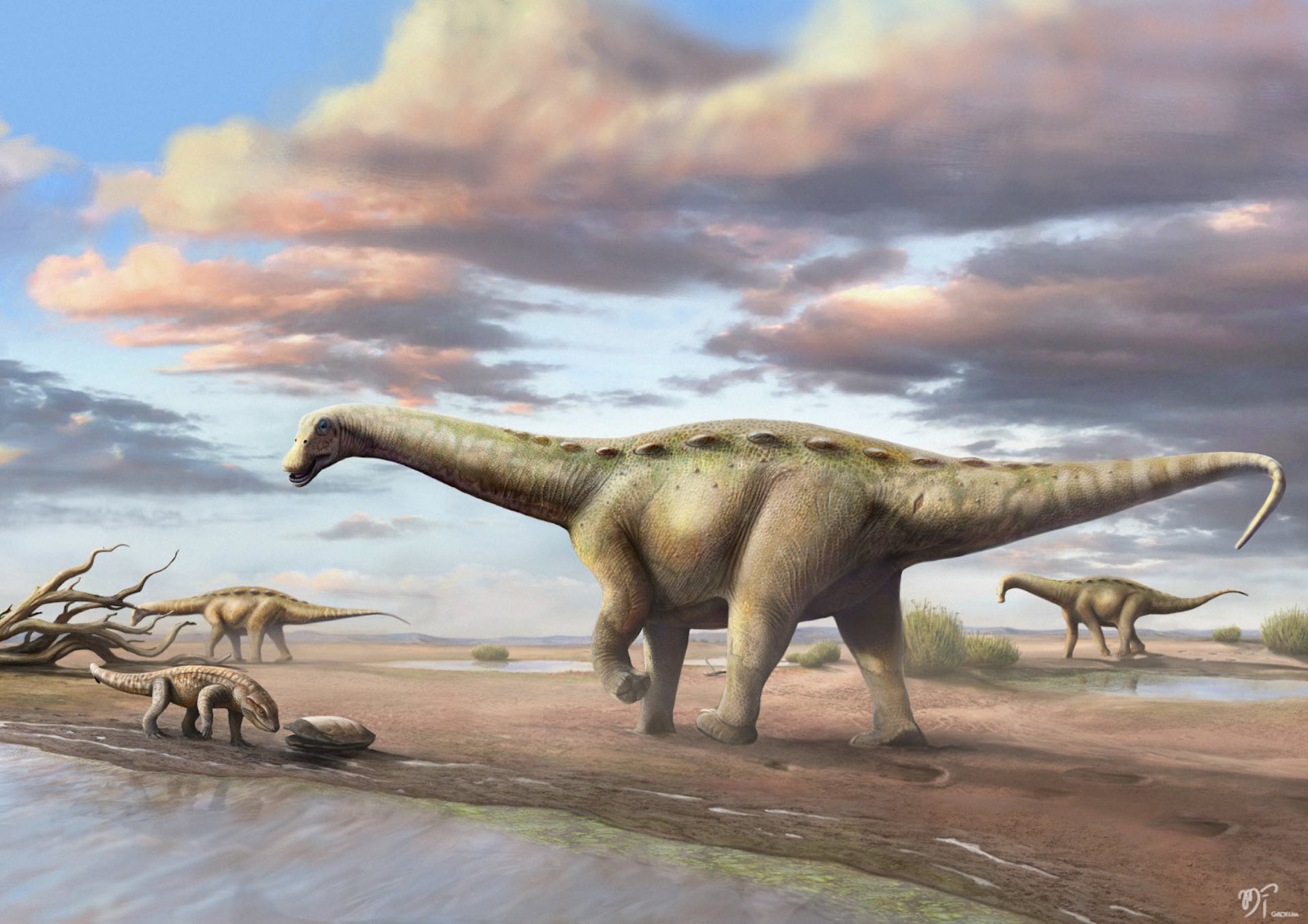 Nouvelle espèce de petits titanosaures découverte au Brésil - Ibirania parva