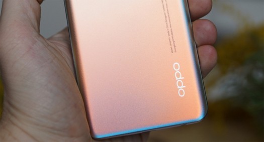 Oppo는 Snapdragon 480 Plus 프로세서와 Full HD + 화면을 탑재한 스마트폰을 준비 중입니다.