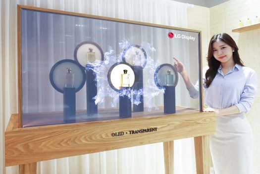 LG, 가정, 사무실, 소매용 투명 OLED 디스플레이 신제품 공개