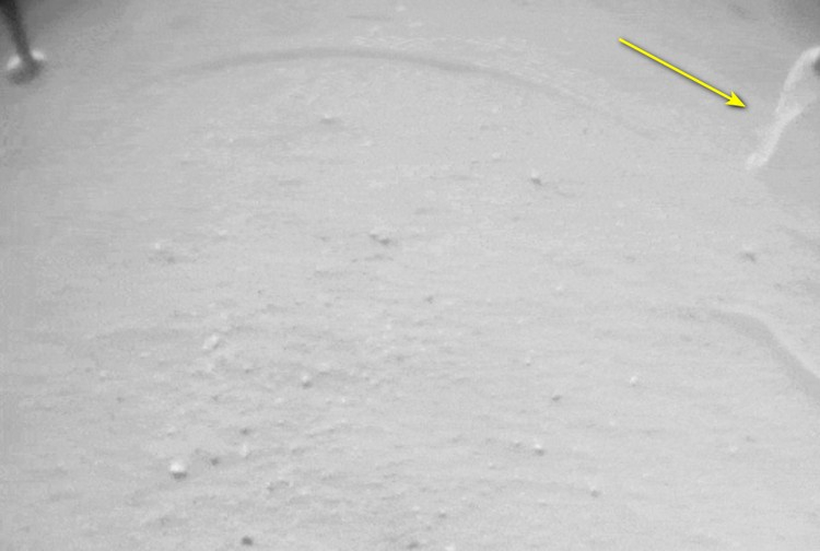 화성 헬리콥터에 붙은 미확인 물체 Ingenuity