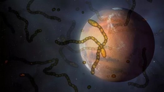 Des scientifiques évoquent le risque de contamination de la Terre par des organismes extraterrestres