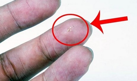 Dieser winzige Mikrochip ist das kleinste Fluggerät der Welt.