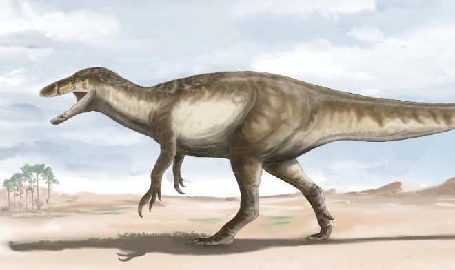 Restos do maior megaraptor da história encontrados na Patagônia