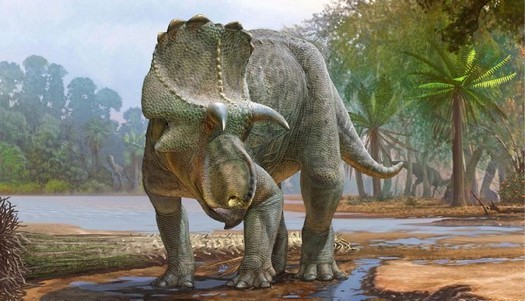 Menefeeceratopssealeyi-ニューメキシコで発見された新しい恐竜
