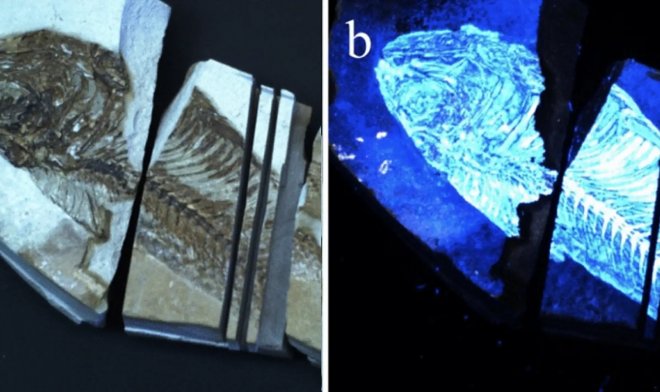 Lo strumento BioFinder troverà tracce di vita su altri pianeti