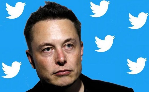 Elon Musk tritt aus dem Twitter-Vorstand zurück