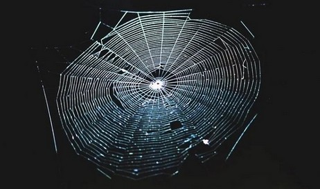 科学者たちは蜘蛛の巣を楽器に変えました