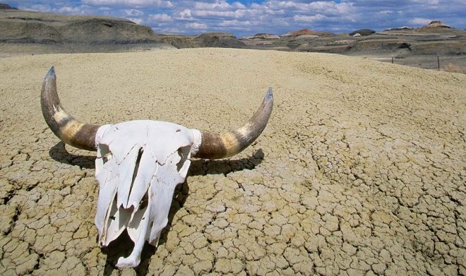 Il governo degli Stati Uniti ha lanciato un sito web per combattere le conseguenze del caldo mostruoso