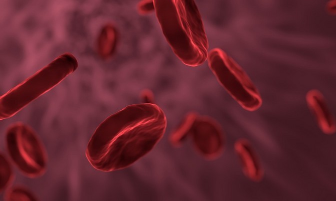 Un esame del sangue può mostrare l'ora sull'orologio interno del corpo?