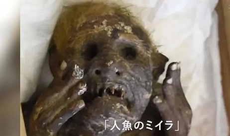 일본 과학자들이 오카야마의 300년 된 인어 미라의 미스터리를 풀다