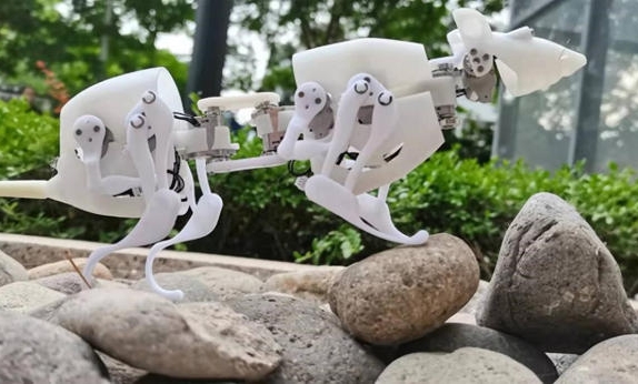 La Cina ha costruito un robot SQuRo simile a un topo