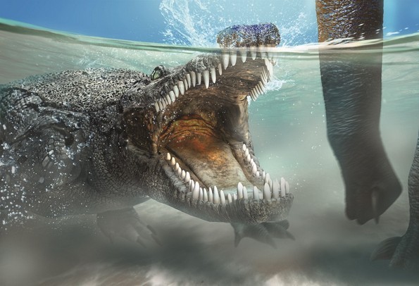 La valvola palatina in gola ha aiutato gli antichi coccodrilli a sopravvivere ai dinosauri