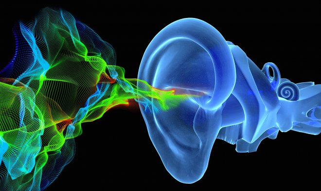Gli scienziati hanno scoperto il meccanismo di trasformazione delle vibrazioni in suono